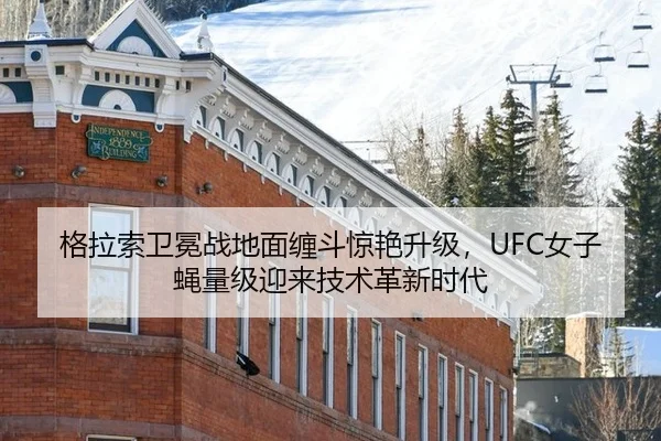 格拉索卫冕战地面缠斗惊艳升级，UFC女子蝇量级迎来技术革新时代