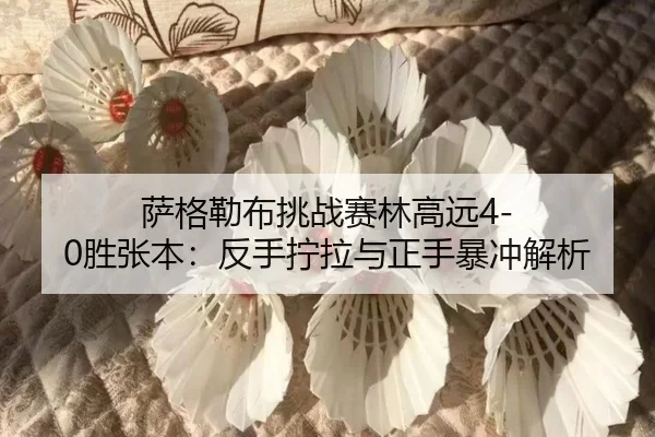 sa-ge-lei-bu-tiao-zhan-sai-lin-gao-yuan-sheng-zhang-ben-fan-shou-ning-la-yu-zheng-shou-bao-chong-jie-xi-3-439.jpg